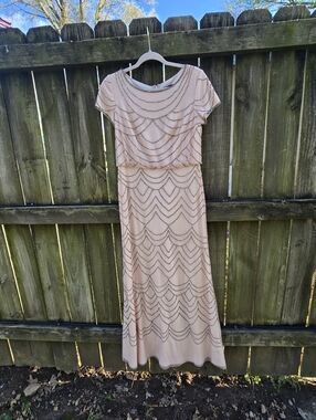 Adrianna Papell Long Dress As In Prom? Or Special Occasion